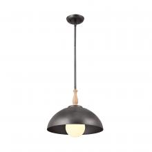 Kichler 52476AVI - Pendant 1Lt