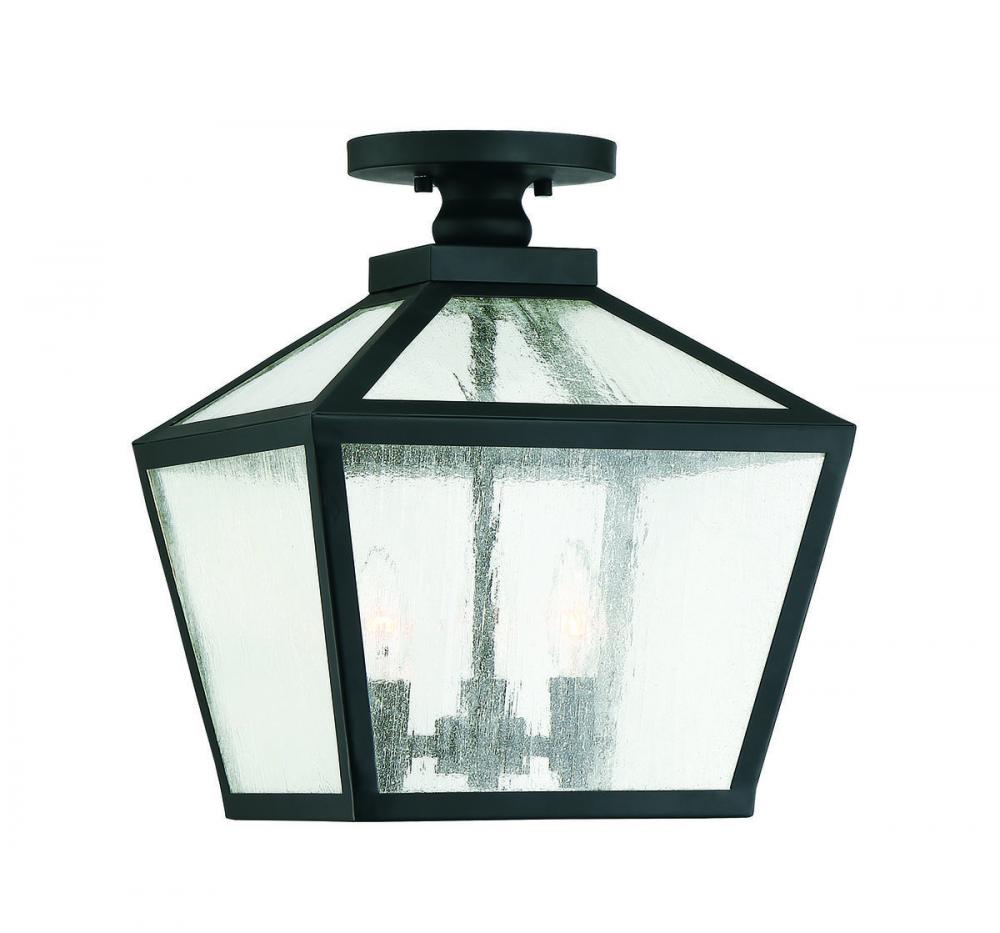 Woodstock 3-Light Outdoor Ceiling Light in Black