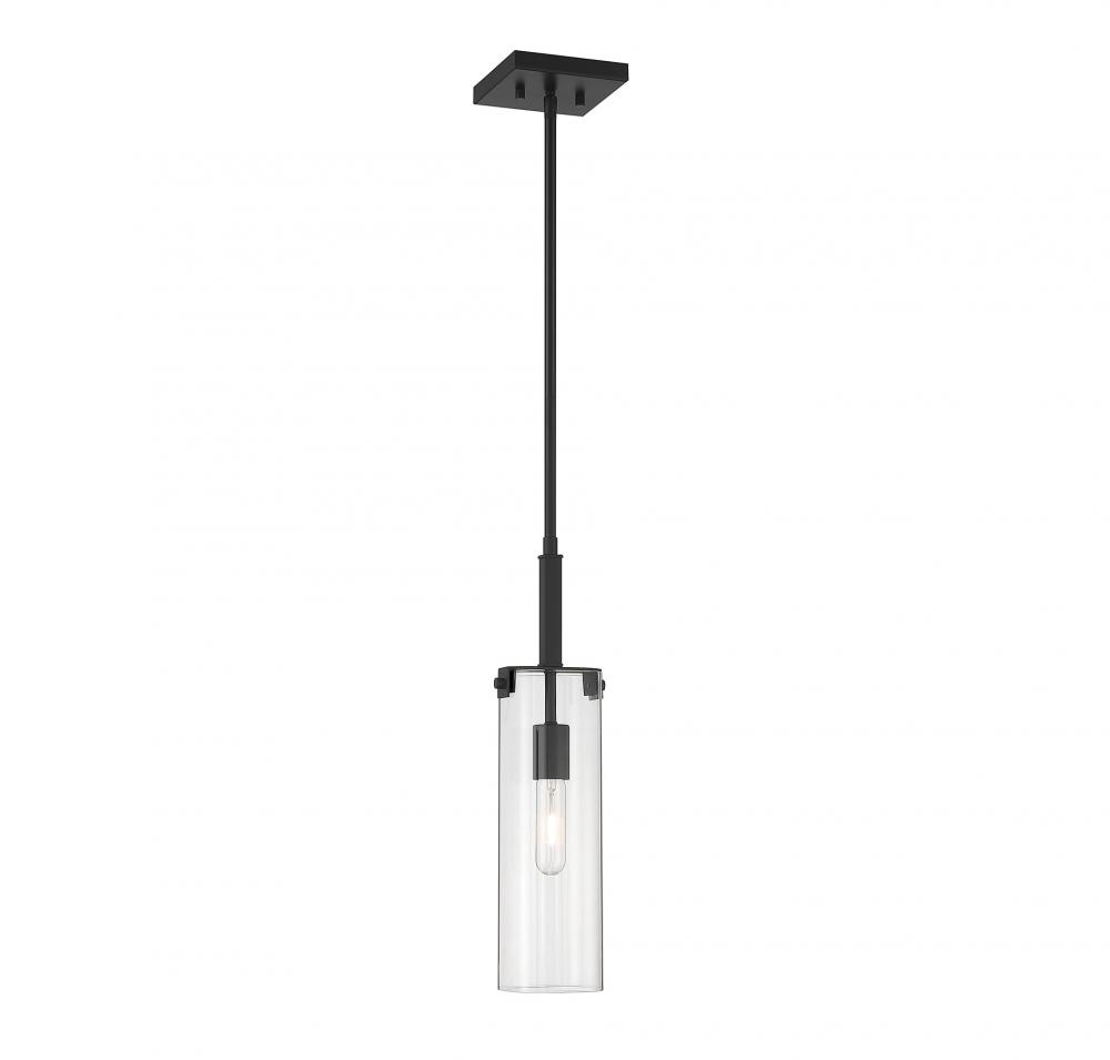 Winfield 1-Light Mini-Pendant in Matte Black