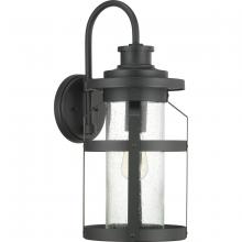 Progress P560096-031 - Haslett Collection One-Light Large Wall Lantern