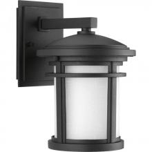 Progress P6084-31 - Wish Collection One-Light Small Wall Lantern