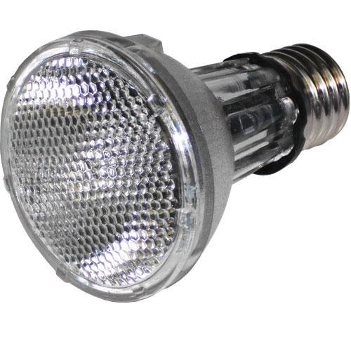 80699 LED PAR20