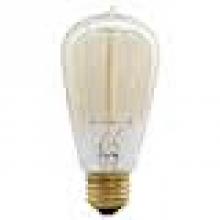 Halco Lighting 20007 - T14, Antique Bulb, 40W