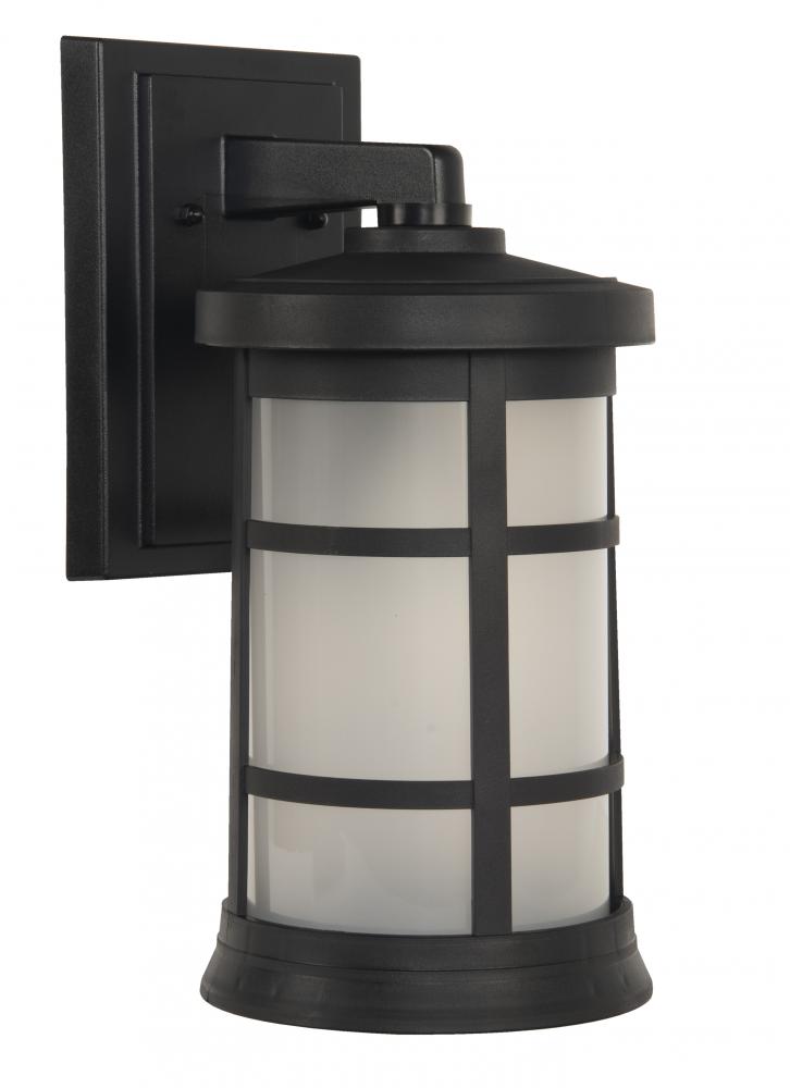 Resilience 1 Light Medium Outdoor Wall Lantern in Textured Black