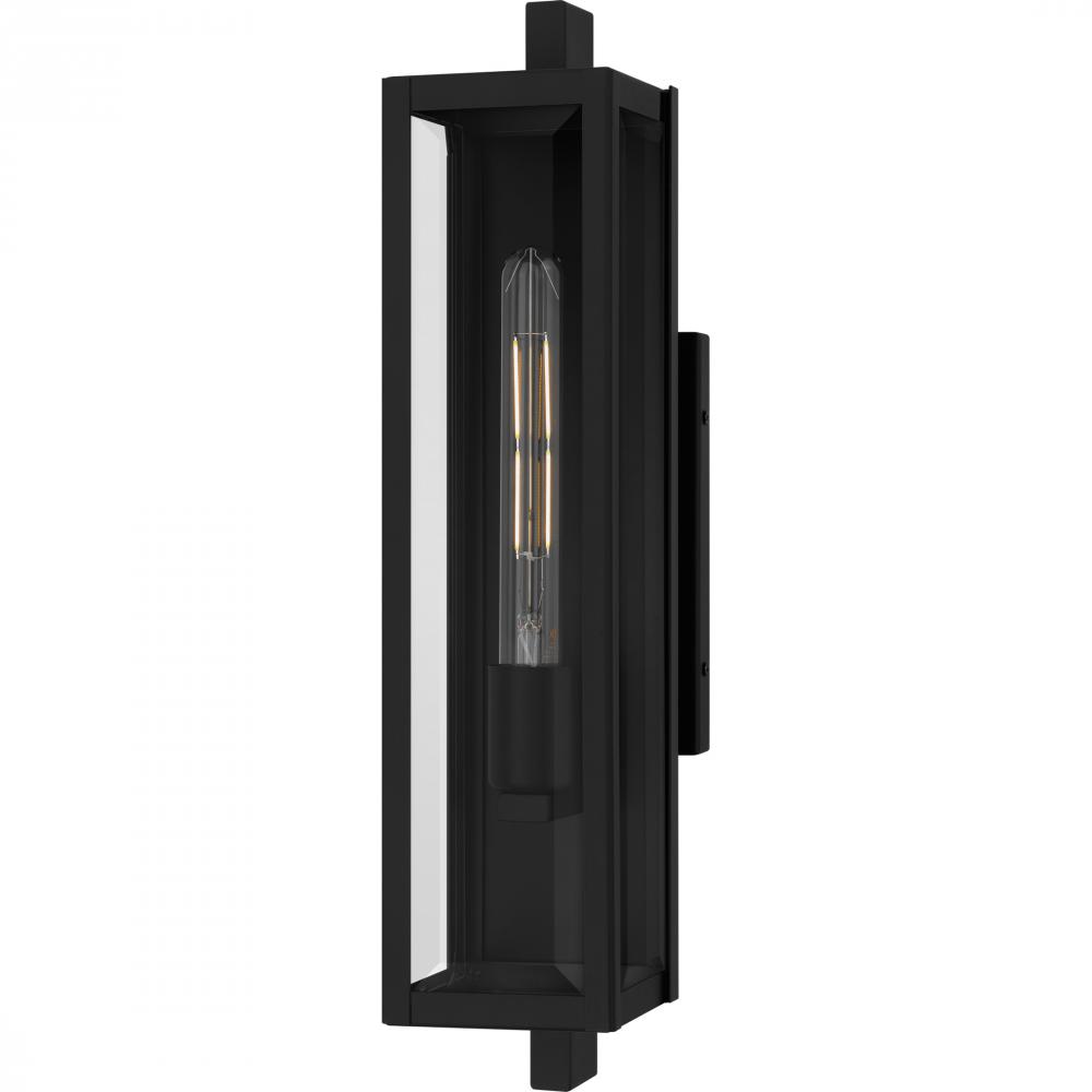 Dale 1-Light Matte Black Outdoor Wall Lantern