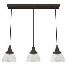 Hunter 19142 - Hunter Cypress Grove Onyx Bengal with Clear Holophane Glass 3 Light Pendant Cluster Ceiling Light