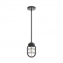 STARKLAKE 1 LIGHT MINI PENDANT