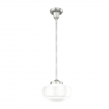 SADDLE CREEK 1 LIGHT MINI PENDANT