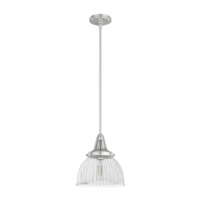 CYPRESS GROVE 1 LIGHT PENDANT 10 INCH