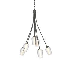 Hubbardton Forge 103043-SKT-20-ZS0354 - Flora 6 Arm Chandelier