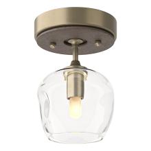 Hubbardton Forge 121372-SKT-84-05-ZM0709 - Ume 1-Light Semi-Flush