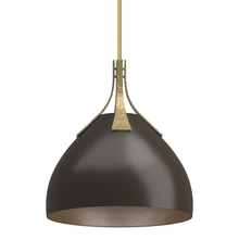 Hubbardton Forge 134502-SKT-MULT-86-14 - Summit Pendant