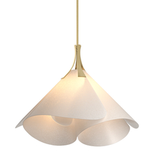 Hubbardton Forge 134503-SKT-MULT-86-SH1990 - Mobius Large Pendant