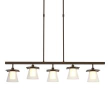 Hubbardton Forge 136605-SKT-LONG-05-ZU0284 - Wren 5 Light Pendant