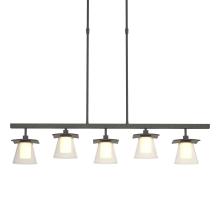 Hubbardton Forge 136605-SKT-LONG-20-ZU0284 - Wren 5 Light Pendant