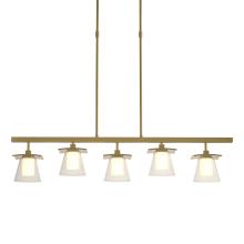 Hubbardton Forge 136605-SKT-SHRT-86-ZU0284 - Wren 5 Light Pendant