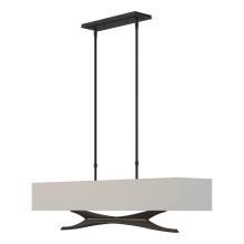 Hubbardton Forge 137655-SKT-STND-10-SJ4298 - Moreau Pendant