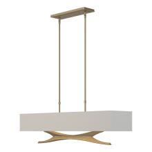 Hubbardton Forge 137655-SKT-STND-84-SJ4298 - Moreau Pendant