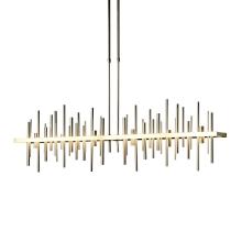 Hubbardton Forge 139726-LED-LONG-86-84 - Cityscape Large LED Pendant