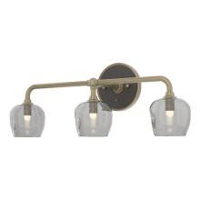 Hubbardton Forge 201342-SKT-84-14-YL0709 - Ume 3-Light Curved Arm Bath Sconce