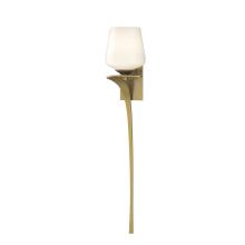 Hubbardton Forge 204710-SKT-LFT-86-GG0236 - Antasia Single Glass 1 Light Sconce