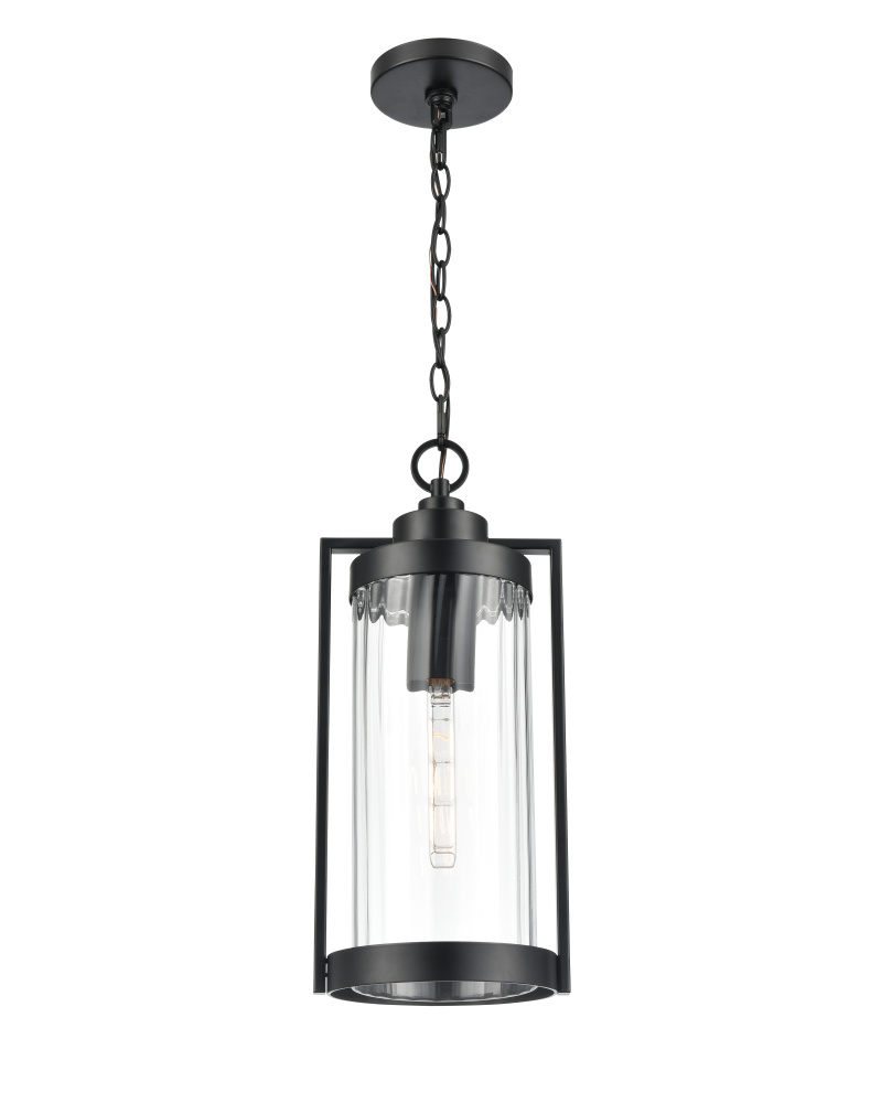 Braselton 8&#34; Wide 1-Light Outdoor Hanging Lantern - Powder Coated Black