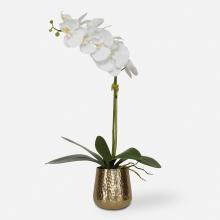 Uttermost 60189 - Cami Orchid With Brass Pot